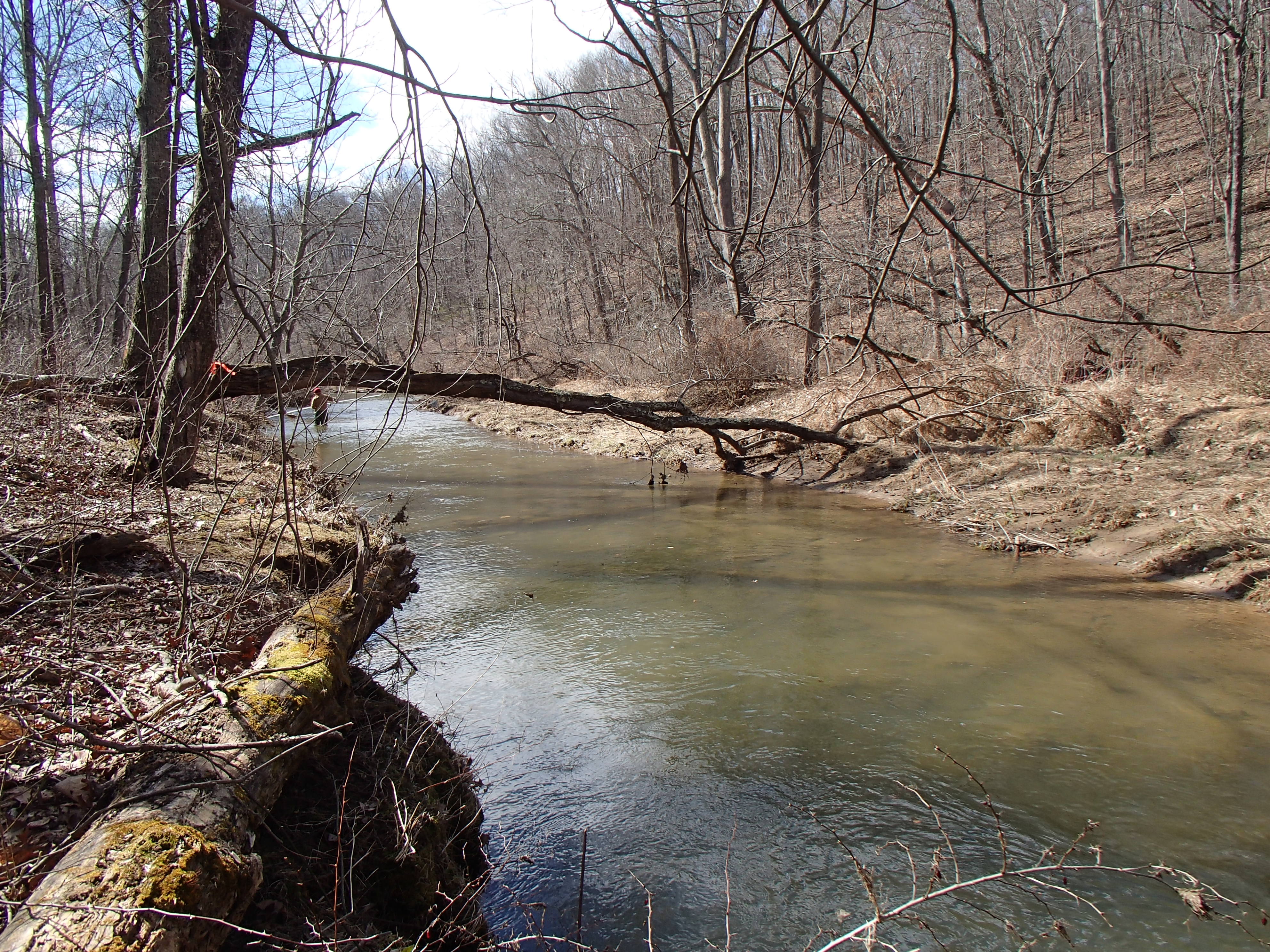 Field photo showing stream conditions at site LOCH-313-R-2016_midpoint looking downstream